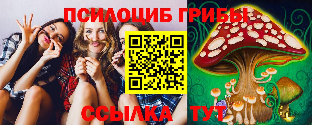 Галлюциногенные грибы мухоморы  Псилоцибиновые грибы GOLDEN TEACHER  Рассказово 