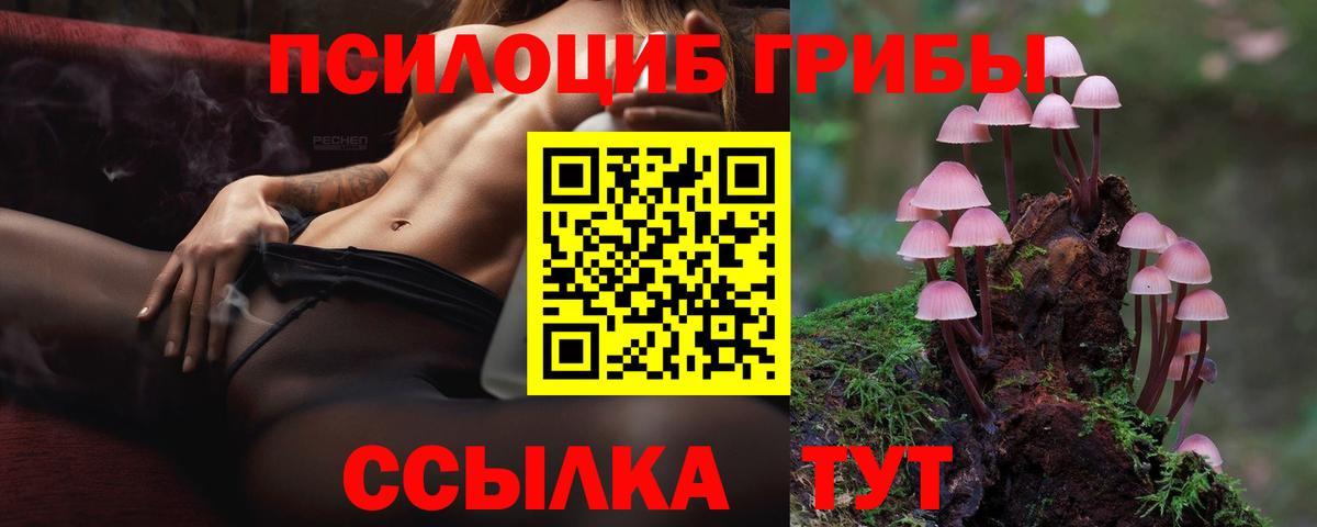 Псилоцибиновые грибы MAGIC MUSHROOMS  Вход с VPN  Рассказово 